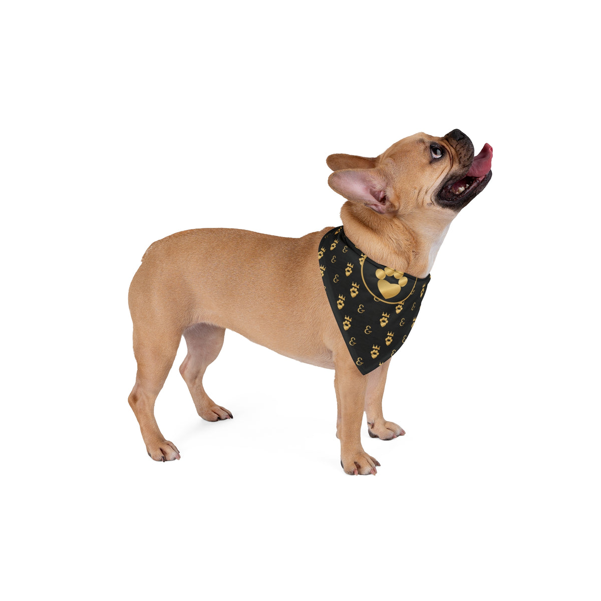 Sir Woof and Lady Purr Royal Monogram Dog Bandana, Luxury Black and Gold Pet Bandana, Designer Style Dog Scarf