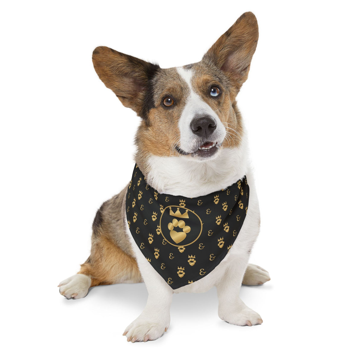 Sir Woof and Lady Purr Royal Monogram Bandana Collar, Luxury Black and Gold Dog Collar with Bandana, Designer Pet Collar