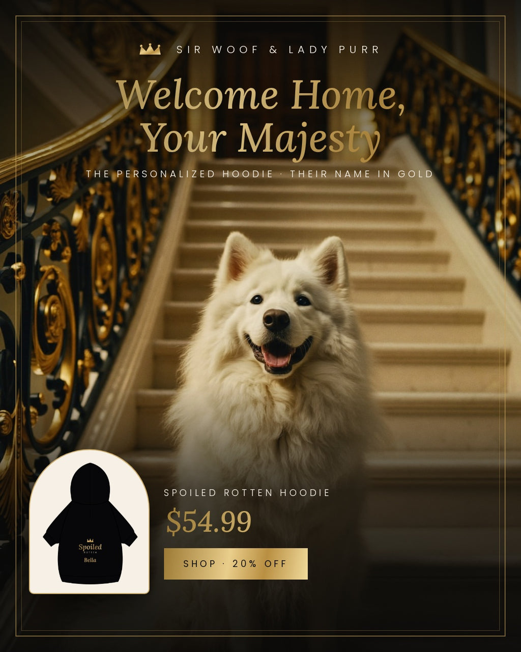 Sir Woof & Lady Purr Personalized "Spoiled Rotten" Dog Hoodie - Custom Pet Name Black & Gold Luxury Pet Sweatshirt