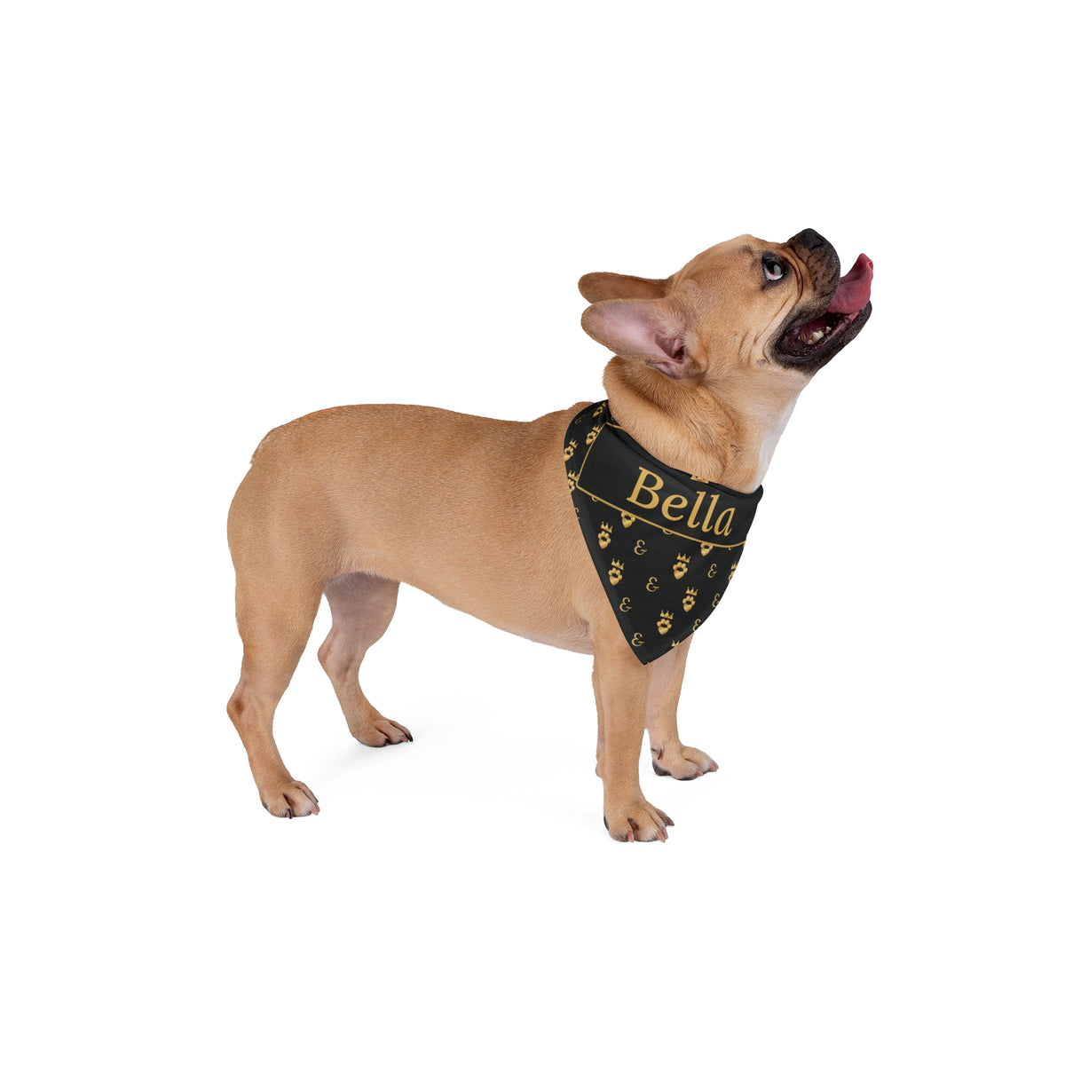 Personalized Dog Bandana with Name, Sir Woof and Lady Purr Luxury Black and Gold Custom Pet Bandana, Dog Gift