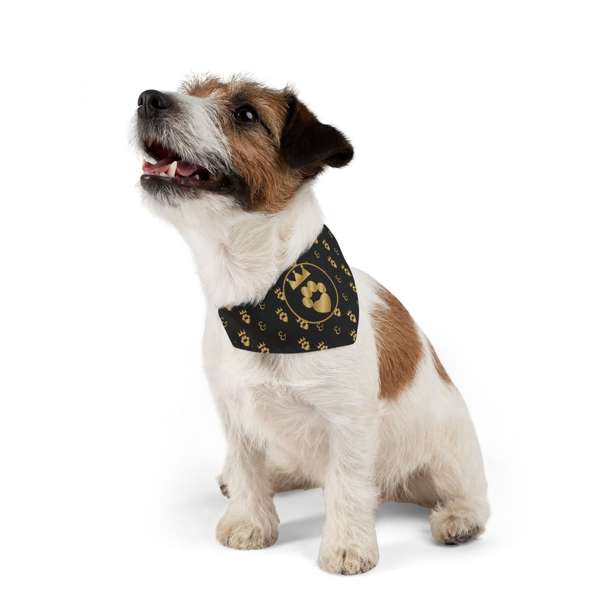 Sir Woof and Lady Purr Royal Monogram Bandana Collar, Luxury Black and Gold Dog Collar with Bandana, Designer Pet Collar