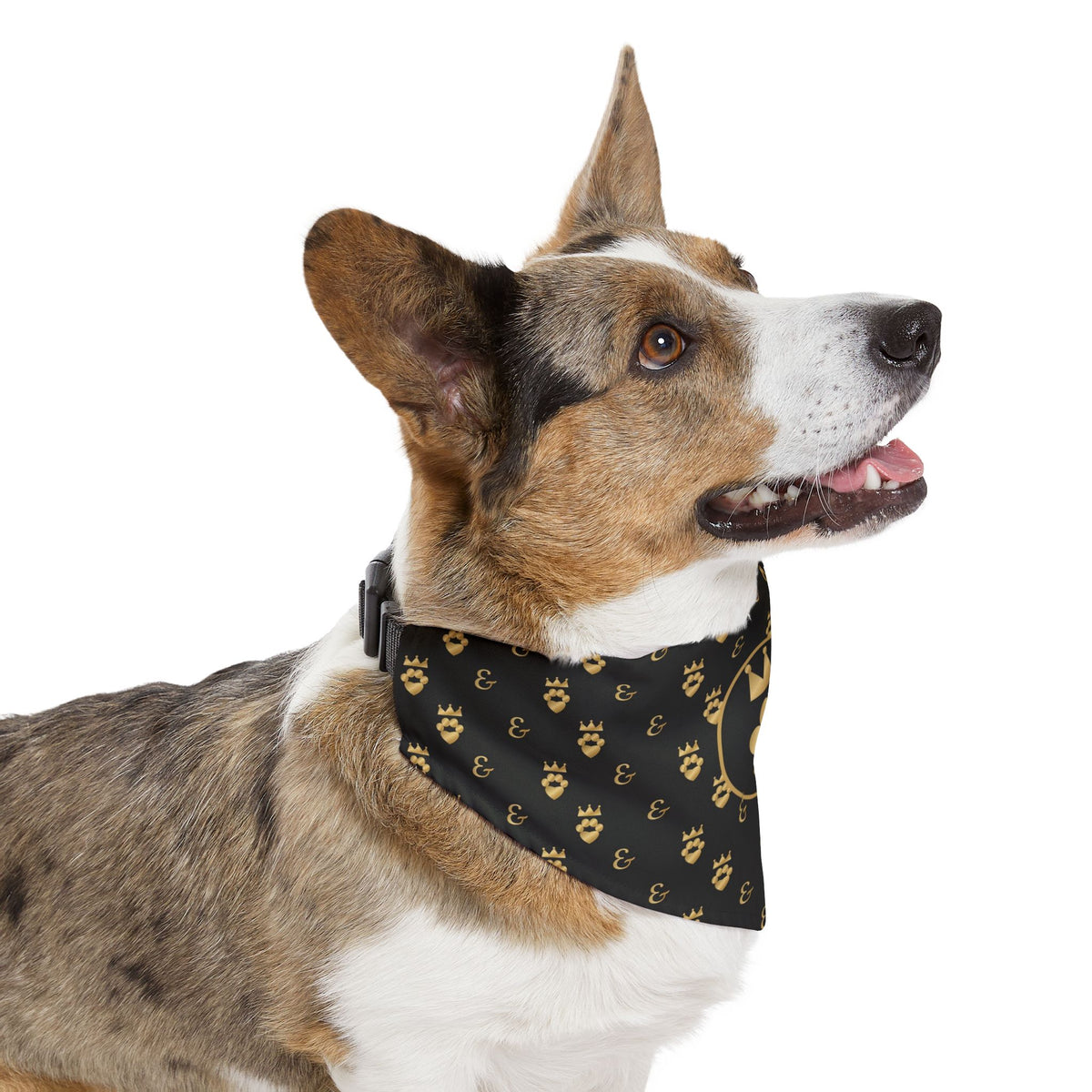 Sir Woof and Lady Purr Royal Monogram Bandana Collar, Luxury Black and Gold Dog Collar with Bandana, Designer Pet Collar